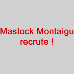 Mastock Montaigu recrute !