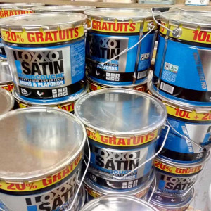 Peinture pro Loxxo satin