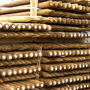Piquets traités autoclave classe 4 - Mastock